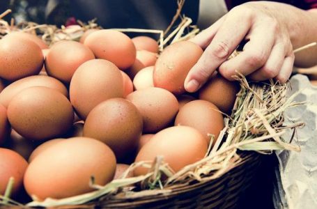Nằm mơ thấy trứng gà đánh con gì để cả tháng không ăn mỳ?