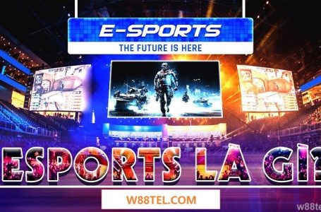 E-sports là gì? Sự bùng nổ của Thể thao điện tử năm 2021