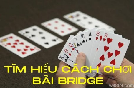 Bài bridge là gì? 4 bí quyết chơi bài bridge online cực đỉnh